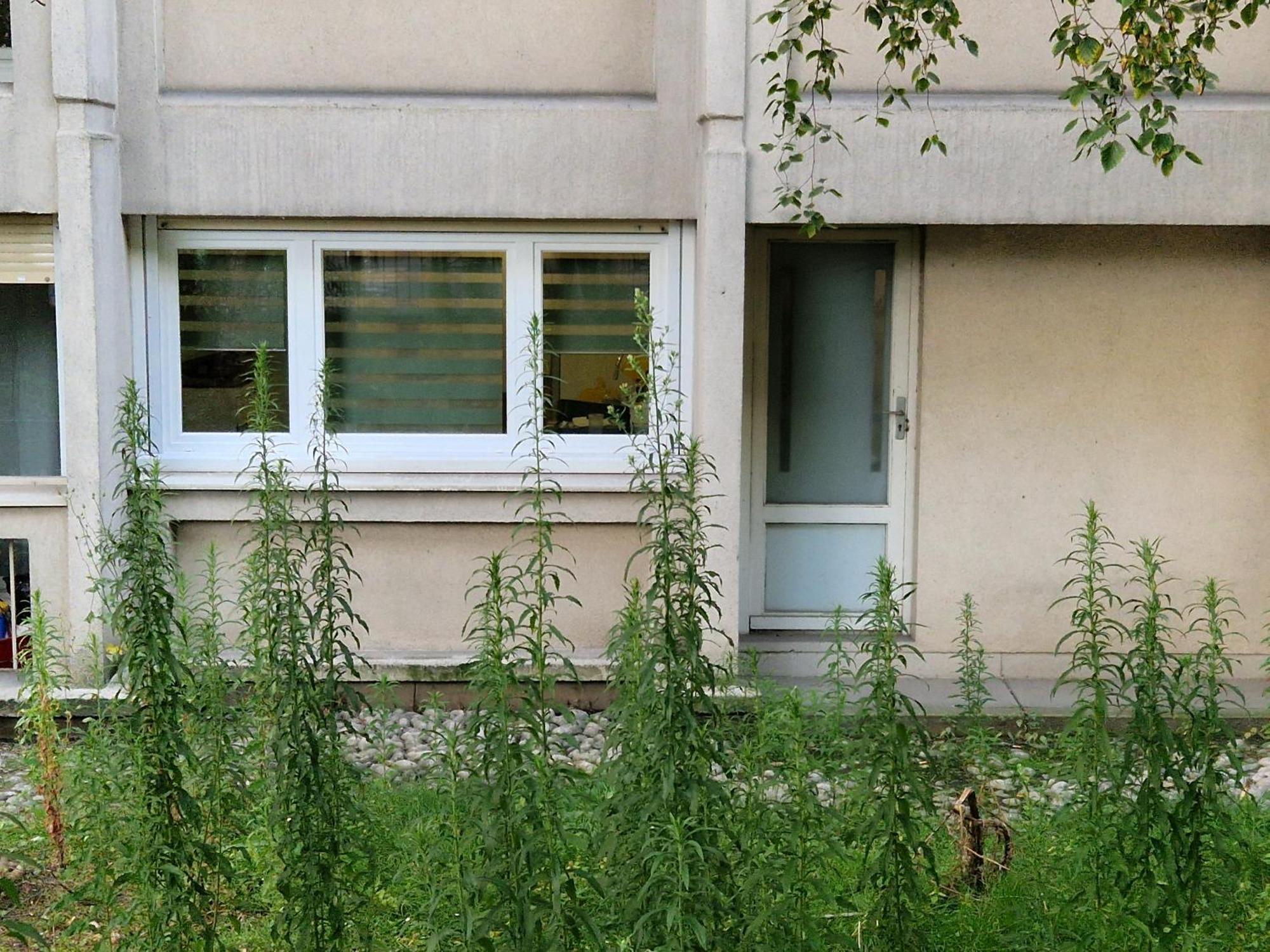 Comfortable Rooms For Working - Levallois Kültér fotó